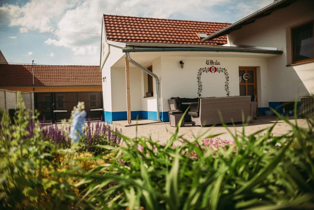 Apartman U Draba: Ubytovani Na Slovacku V Miloticich U Kyjova Milotice Екстериор снимка