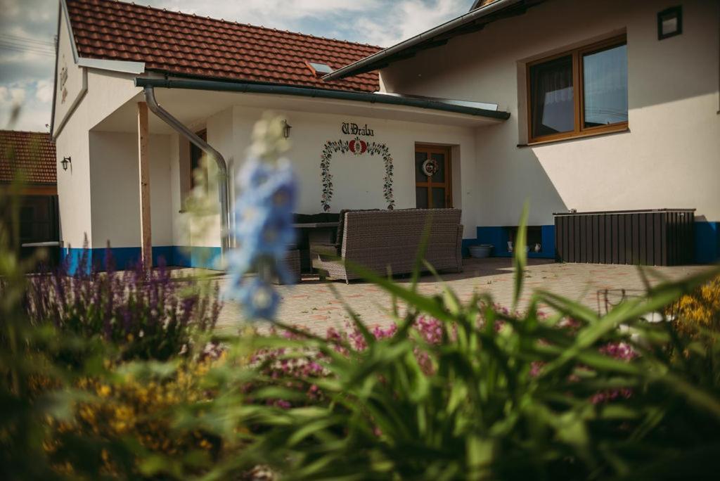 Apartman U Draba: Ubytovani Na Slovacku V Miloticich U Kyjova Milotice Екстериор снимка